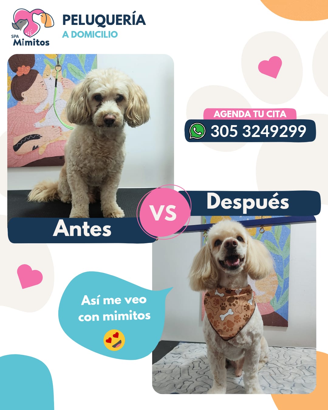 Peluquería Canina