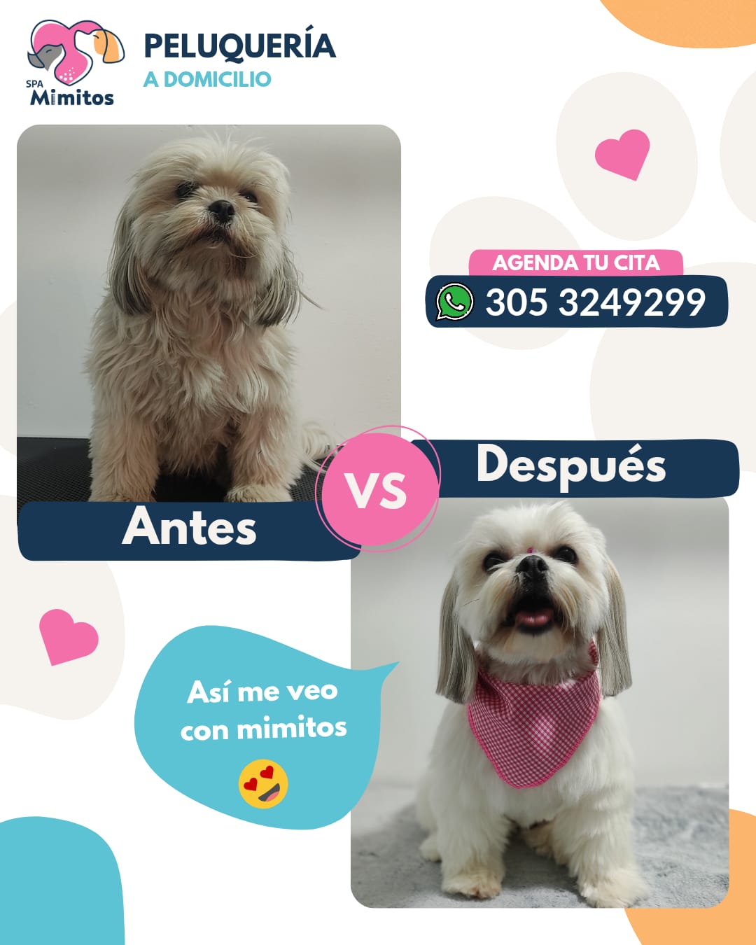 Peluquería Canina