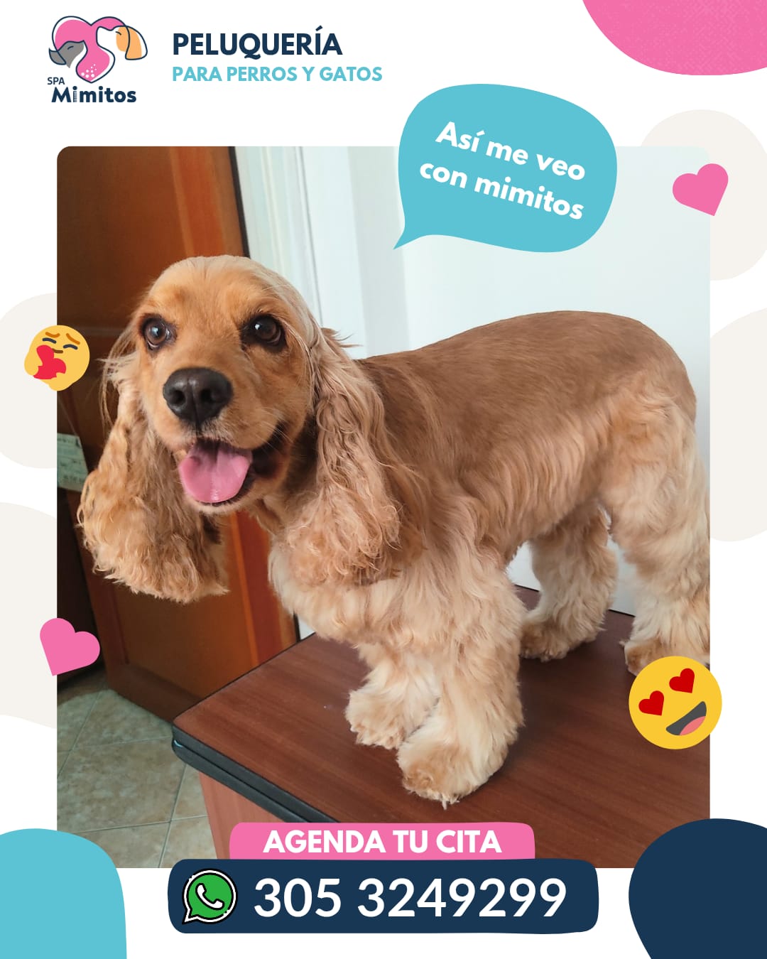 Peluquería Canina